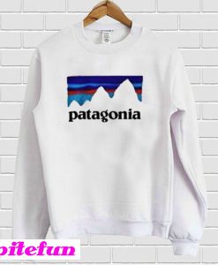 Patagonia Sweatshirt