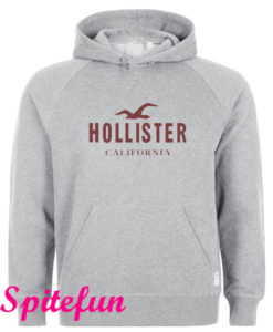 Hollister Hoodie
