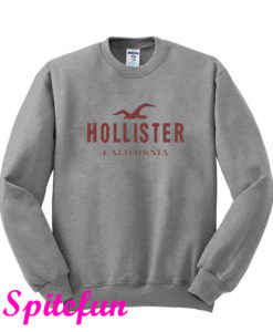 Hollister Sweatshirt