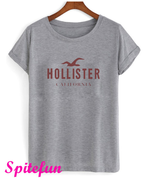 Hollister T-Shirt