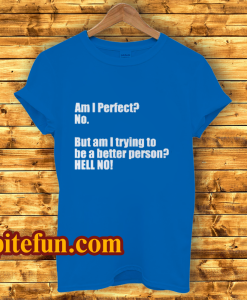Am I Perfect T-Shirt